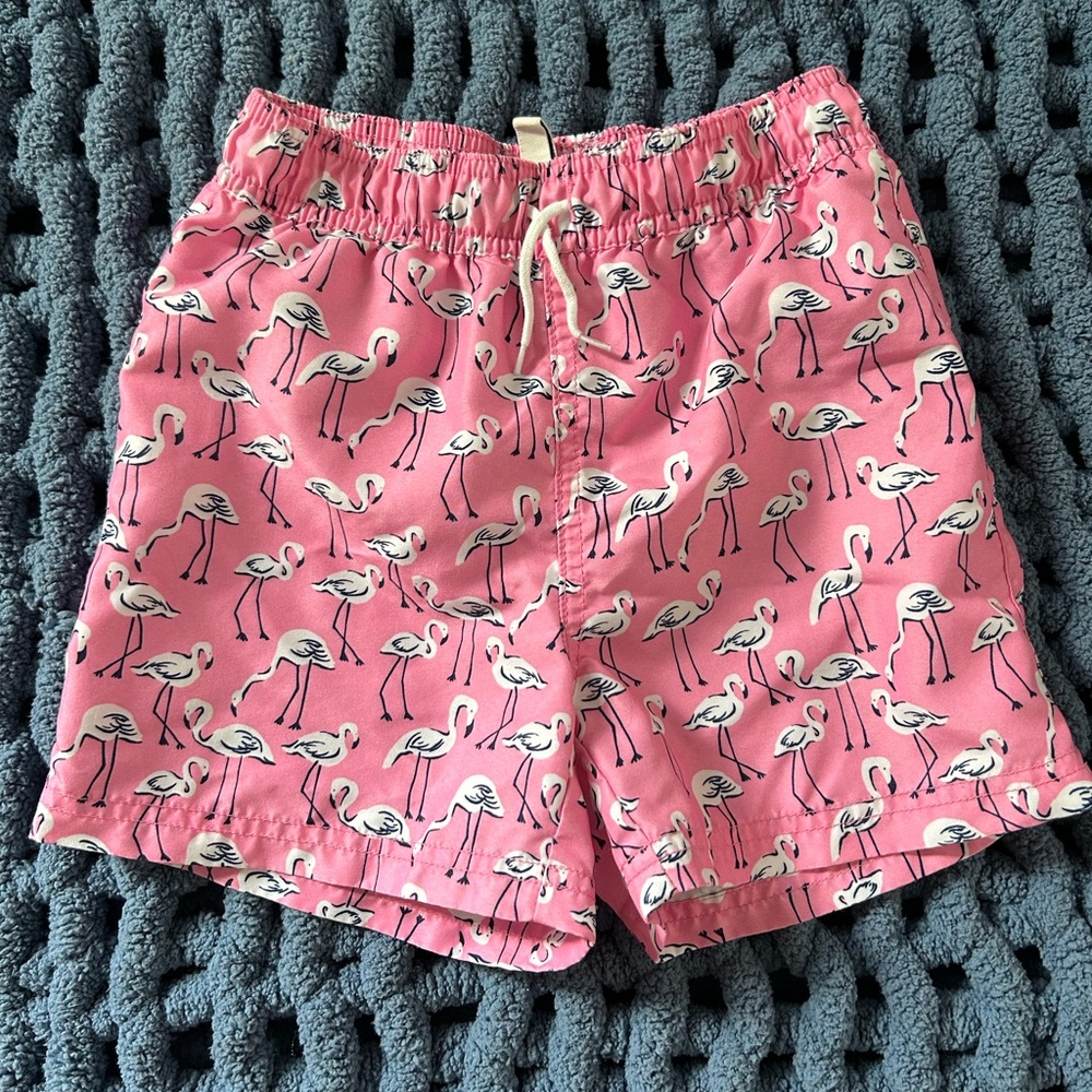 Boys Flamingo Swim trunks